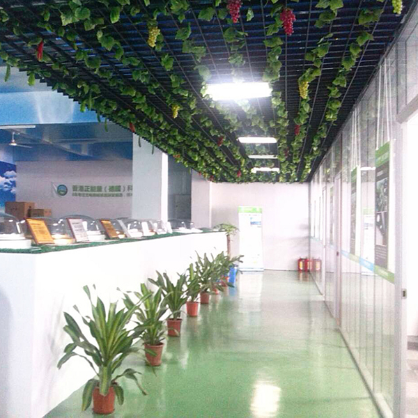 原来这就是光导照明系统啊