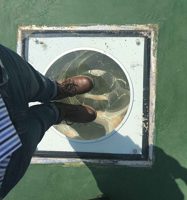 平板采光器承重测试 平板采光器承重测试