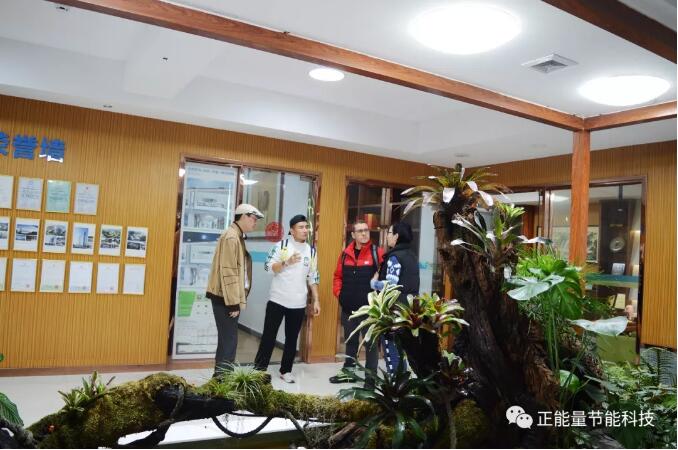 正能量光导照明 正能量光导照明